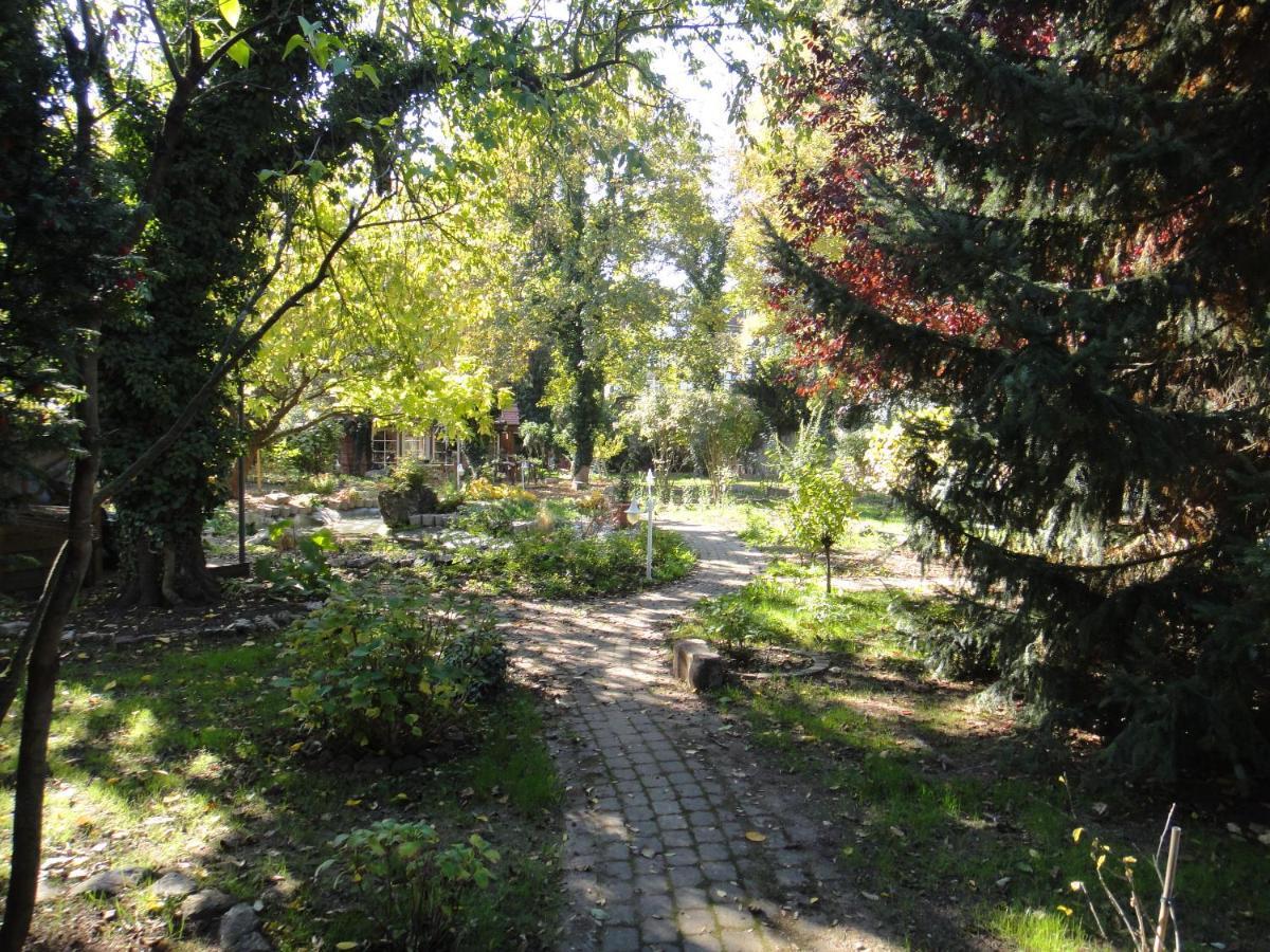 Oase in Mitten der Stadt Eschwege Exterior foto
